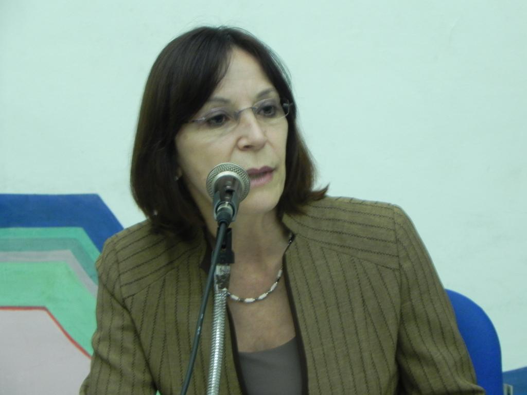 Audiência Pública discute diretrizes para Educação em Direitos Humanos Lúcia Camini