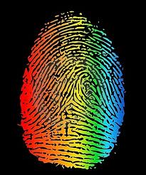 identidade LGBT 4 identidade LGBT 4