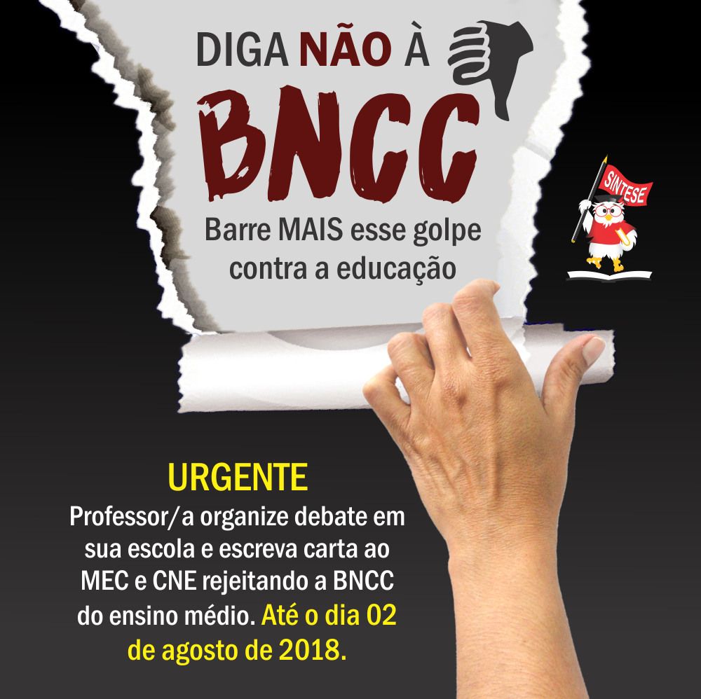 dia D BNCC dia D BNCC