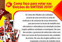 ELEIÇÕES DO SINTESE: fortaleça a luta do magistério público ORIENTAÇÕES 1