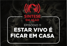 SINTESE EM AÇÃO 11 – Estar vivo é ficar em casa
