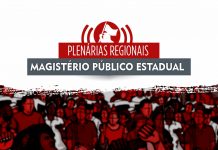 SINTESE realiza plenárias virtuais para docentes da Rede Estadual