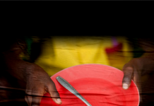 Seduc usou menos da metade dos recursos para compra e distribuição de alimentação escolar