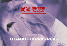 O gado foi pras ruas