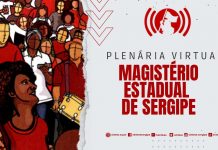Baixe os estudos do SINTESE sobre os projetos da degola e da pá de cal nos direitos do magistério