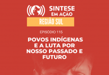 SINTESE EM AÇÃO – SUL – Povos indígenas e a luta por nosso passado e futuro