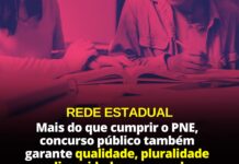 Rede Estadual: Mais do que cumprir o PNE, concurso público também garante qualidade, pluralidade e diversidade para a rede