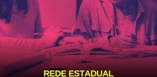Rede Estadual: Mais do que cumprir o PNE, concurso público também garante qualidade, pluralidade e diversidade para a rede