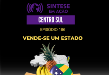 Vende-se um estado | Sintese em Ação – Centro Sul