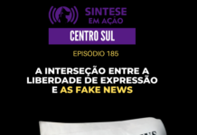 A interseção entre a liberdade de expressão e as Fake News | Sintese em Ação – Centro Sul