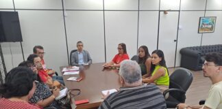 SINTESE trata sobre concursos públicos e fiscalização de recursos em audiência com Ministério Público de Contas