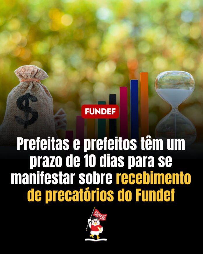 WhatsApp Image 2025-11-19 at 16.01.07